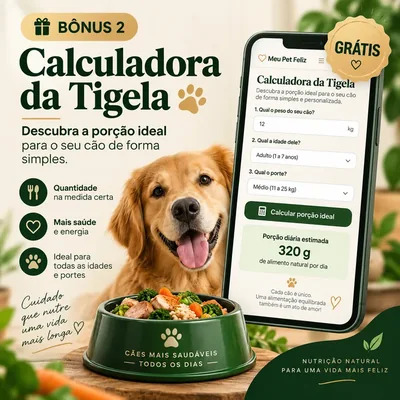Calculadora de Porção