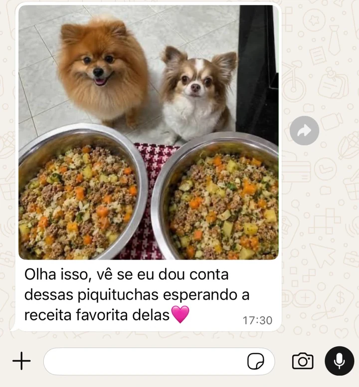 Cliente mostra duas cachorrinhas esperando suas receitas favoritas